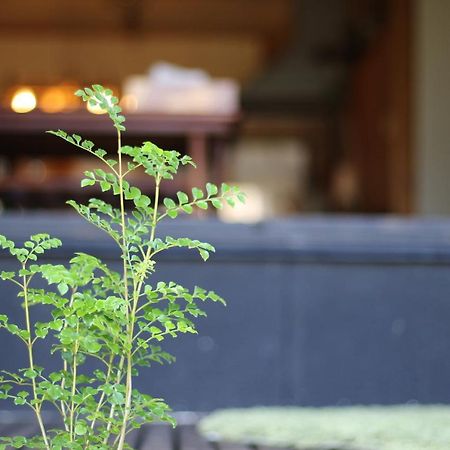 晴家 Guest House Fujikawaguchiko Exterior foto