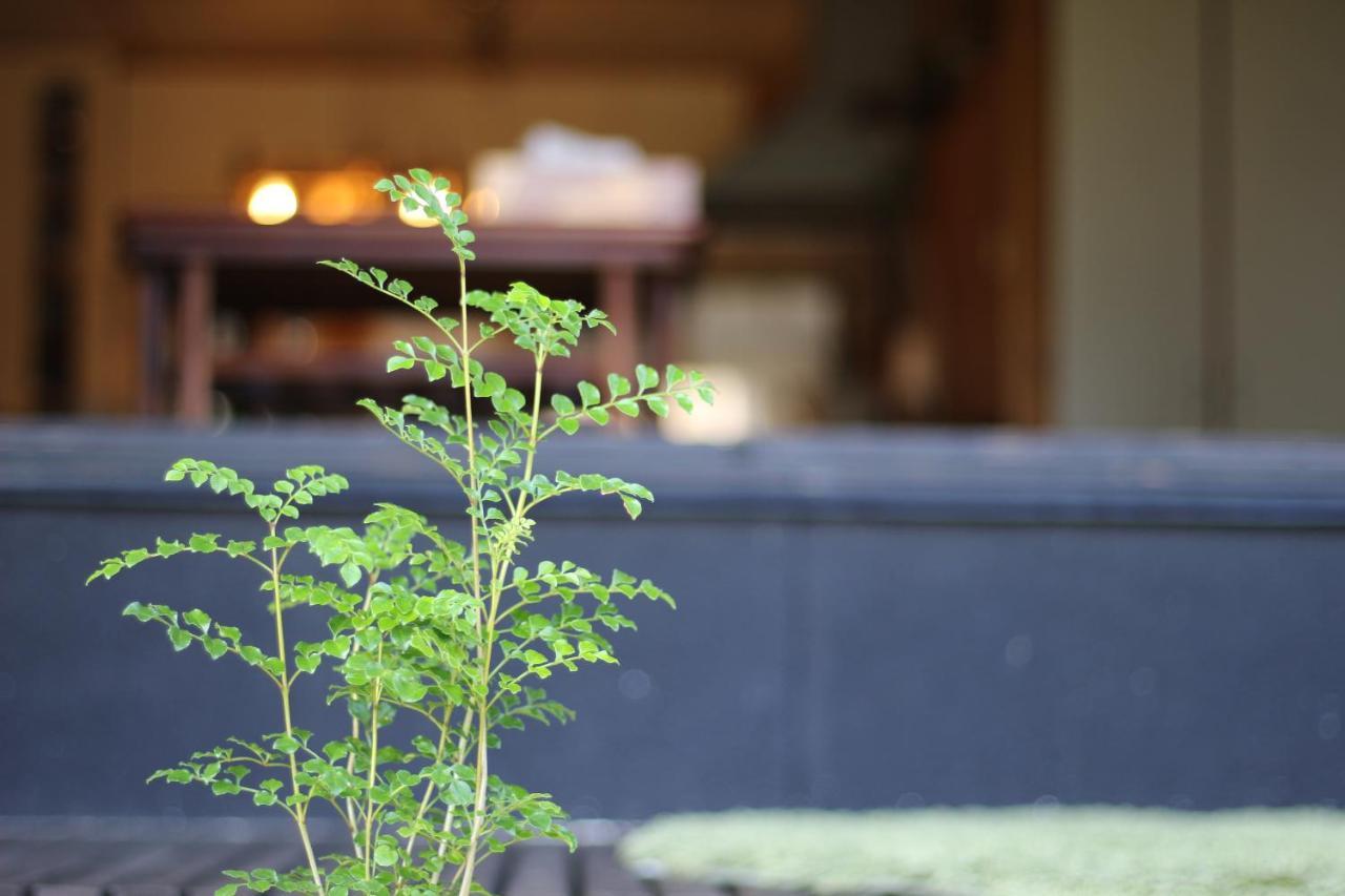 晴家 Guest House Fujikawaguchiko Exterior foto