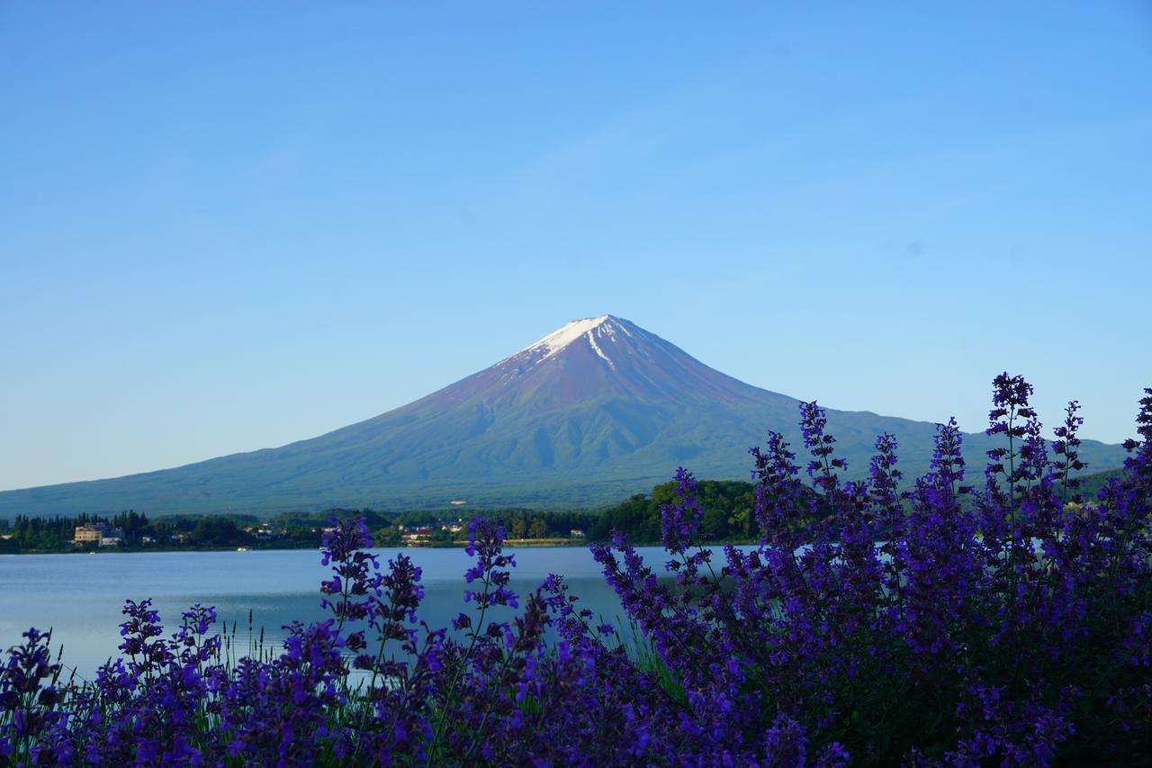 晴家 Guest House Fujikawaguchiko Exterior foto